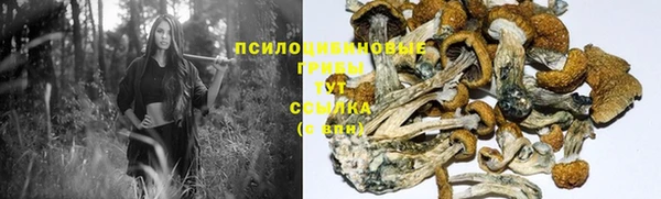 мет Абдулино