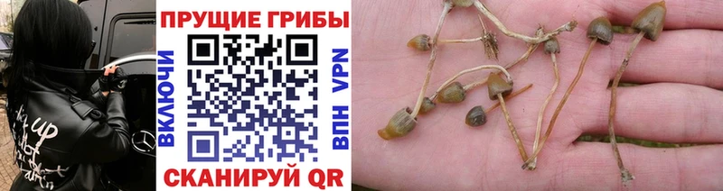 Псилоцибиновые грибы мухоморы  Орск 