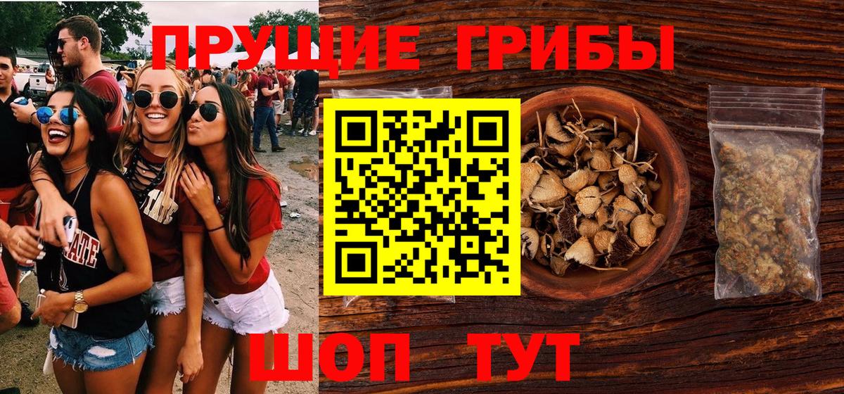 Псилоцибиновые грибы прущие грибы  Псилоцибиновые грибы мицелий  Орск  Вход с VPN 